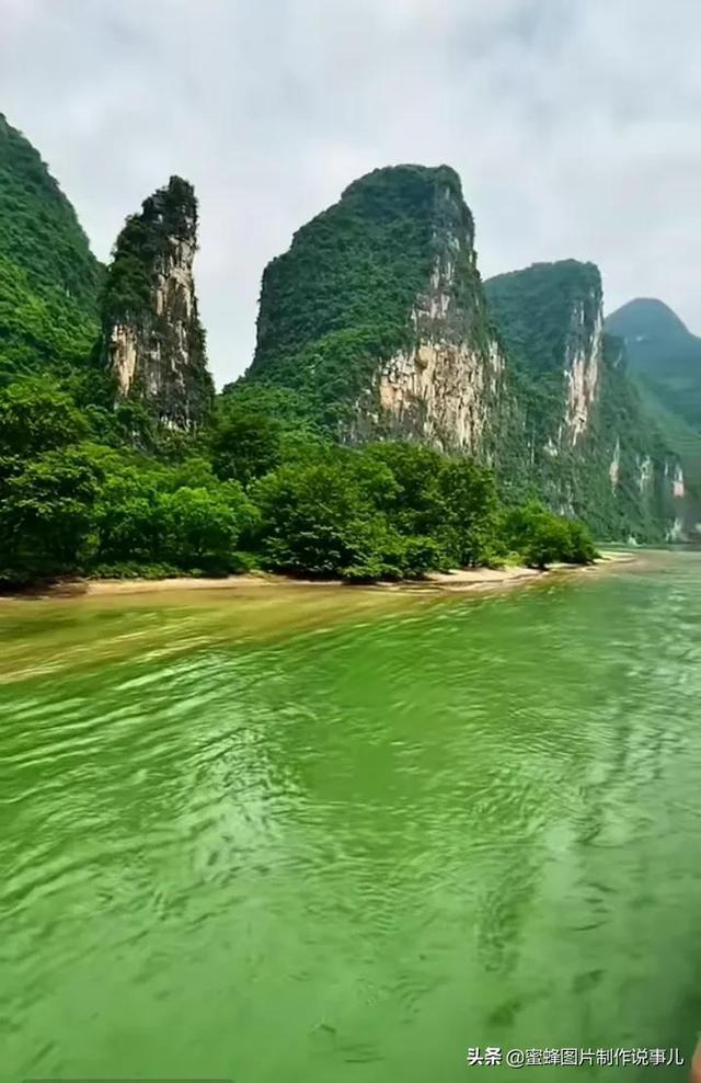 代理枪手
